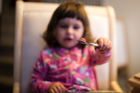 Savanna blog (1 of 4)