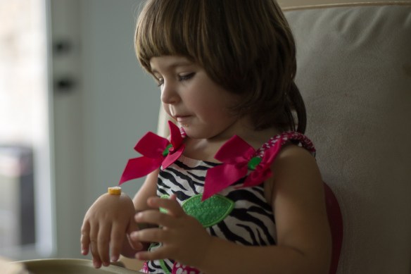 Savanna blog (3 of 4)